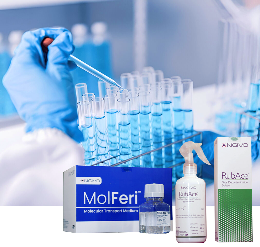 Mol Bio Reagents